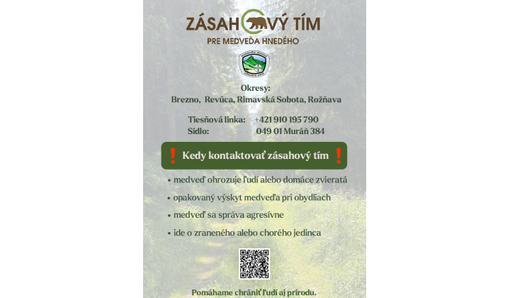 Fotka pre článok Kontakt na zásahový tím pri výskyte medveďa hnedého