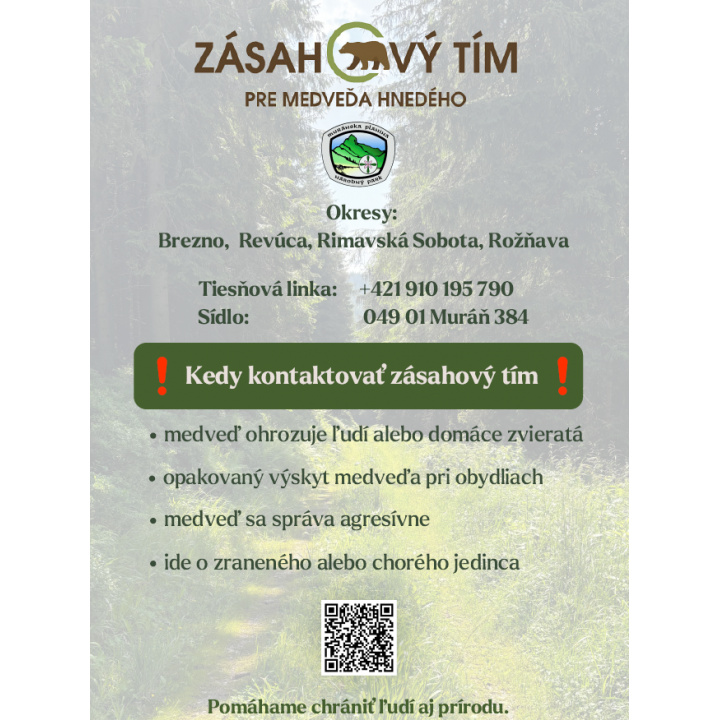 Menšia fotka pre článok Kontakt na zásahový tím pri výskyte medveďa hnedého